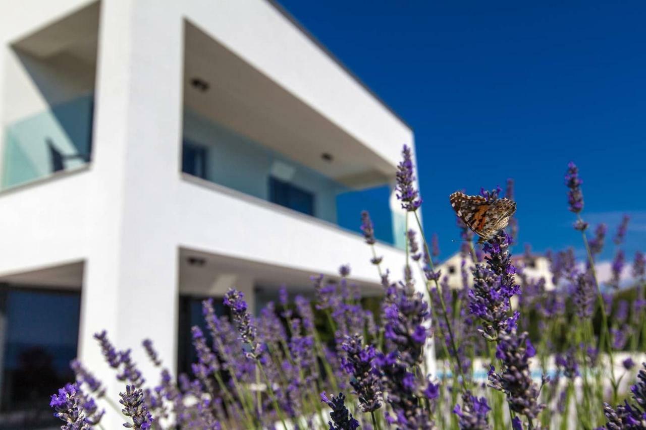 Villa Rina - Luxury Holiday Home ซริกเวนิซา ภายนอก รูปภาพ